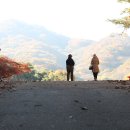 문수사 목조여래좌상 | 고창 문수사(文殊寺)