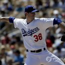 프로헬스크럽 이미지