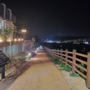 공릉천 왕벚나무길 이미지