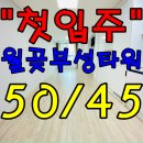 부성타워 | 배곧신도시오피스텔 옆 월곶단기임대 거품을쏵뺏다