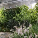 정원뜰 | [스튜디오 9] 온뜰에피움 스튜디오 정원 의자 배경 촬영 후기