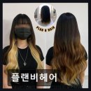 플랜비헤어 네이버블로그