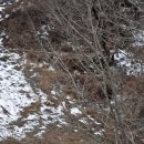 백순농장 이미지