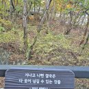 면목다솔내과의원 이미지