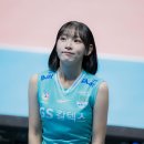 킹사 이미지