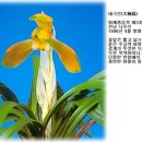 화옌 이미지