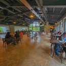 피어하우스나무(PEERHAUS) | [경북 칠곡 카페] 핑크뮬리와 식물 가득한 가산수피아 대형 카페 모하 더 그린하우스
