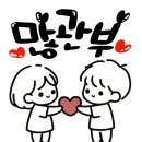 정담손만두 이미지