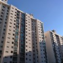 강남-163 이미지