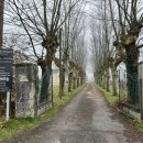 산성콘크리트(주) | 보르도 와이너리 투어 후기 / 추천 / 가성비 와이너리 투어 / 인당 3만원 / 시음 8종 / 포도밭 / 저장고...