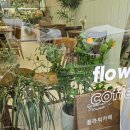 그리너플라워카페