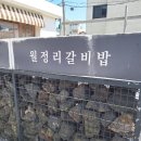 둘레길흙돼지 | 제주 동쪽 여행 제주 구좌 월정리 현지인 맛집 월정리갈비밥 다녀온후기