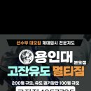 용인대 고잔유도멀티짐 고잔점 이미지