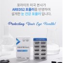 흙이랑 | 포 라이프 트랜스퍼 팩터 비스타와 바이 오이 오메가3로 눈 관리한 실제 후기, 노안·눈 피로 관리법