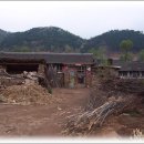 만주농장 이미지