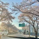 보람샘 | 의욕쟁이 꼼꼬미샘의 일상 - 서브웨이 알바 도전기!
