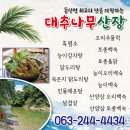 대추나무산장 이미지