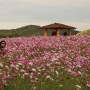 드림파크 이미지