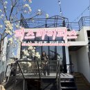 22,23 | 부산 영도 신상 카페 추천 목련 명소 피스바이피스 내돈내산 후기☕️🍰