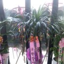 금광개발(주) 이미지