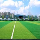 광남생활체육공원 축구장 이미지