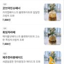 코브나인 이미지