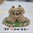 꼬리별펫케이크 이미지