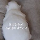 덮밥Zip