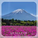 여행 - 5월 중순 후지산 볼 확률, 실시간 후지산 체크, 후지산 명소 팁, 19개월 아기와 4박 5일 후기