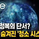 뇌 속 쓰레기는 어디로 사라질까? | 치매 연구의 새로운 단서가 된 '뇌의 배수로' 이미지