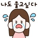 키즈카페내곰돌이키즈월드