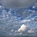 블루오션민박 이미지