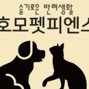 감동이네 수제간식 이미지