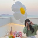 오션테라 이미지