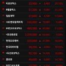 일동점현대자동차 | 2025년11월03일 오늘의 주도종목