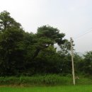 산주마을회관 이미지