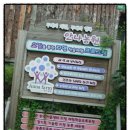 안나농원 이미지