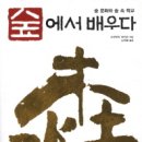 숲에서 이미지
