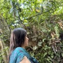 인튜이티브 | 발리 우붓 요가원: 인튜이티브 플로우 intuitive flow