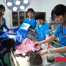 제주해양 이미지