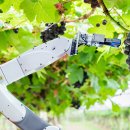 4차 산업혁명과 스마트 팜 이미지