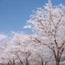 공주(대전) 이미지