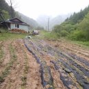 산골산장 이미지