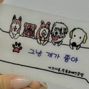 그냥개가좋아