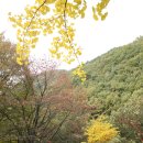 대운산자연휴양림(양산) 이미지