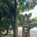 한림종합정비 | 2025 제주도 4일차 ; 산양큰엉곶, 뽀로로앤타요 테마파크, 기원은갈치, (협재해수욕장), 바베큐 파티