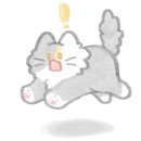 씨씨즈왁싱 네이버블로그