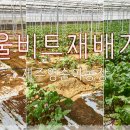 영순농장 이미지