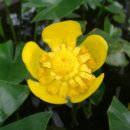 백조당구장 이미지