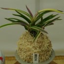 부천시청 이미지